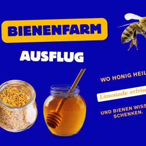 Biene Bienenpollen Bienenhonig hergestellt in Sonnenstrand Region