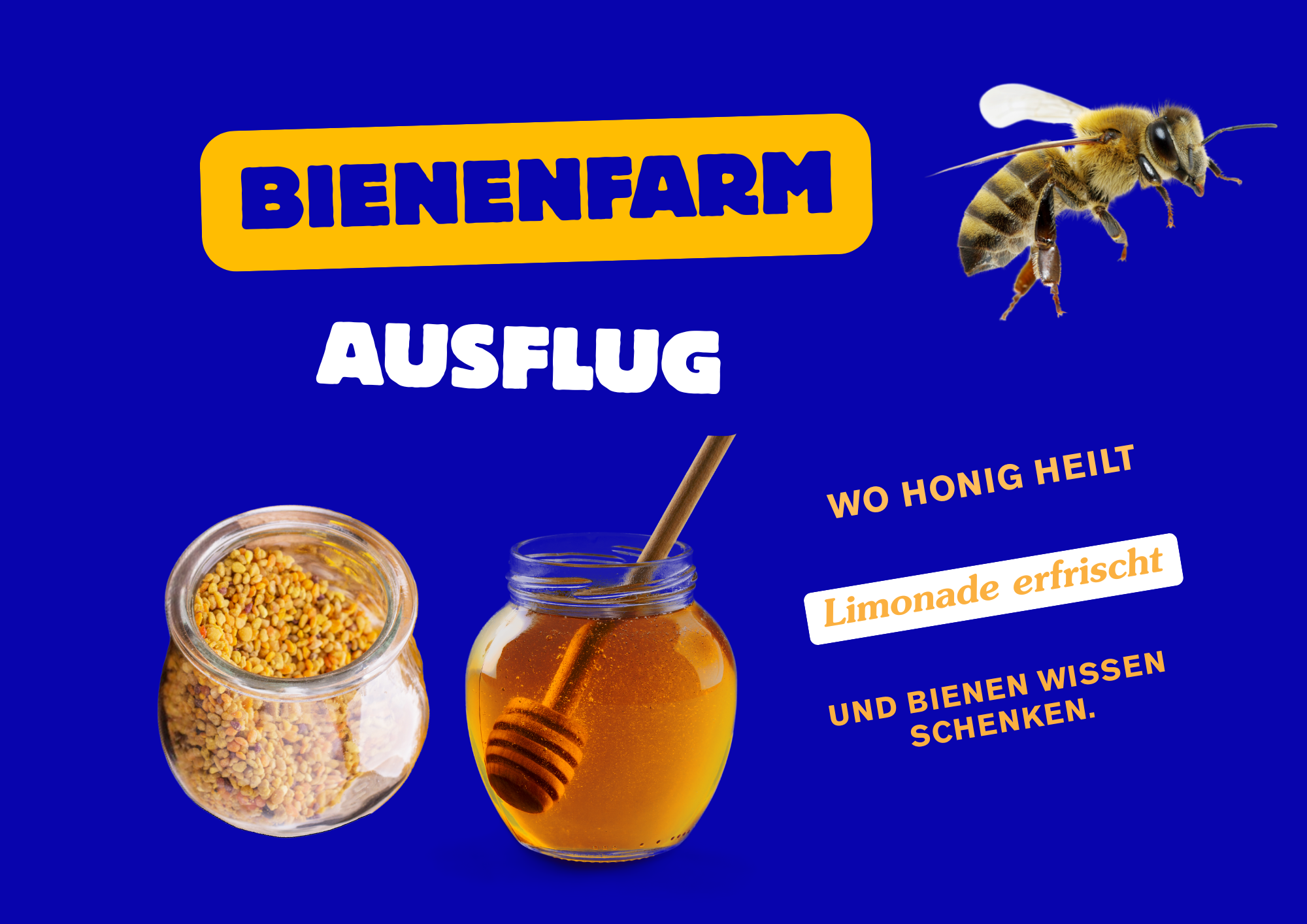 Bienenfarm Sonnenstrand Biene Bienenpollen Bienenhonig hergestellt in Sonnenstrand Region